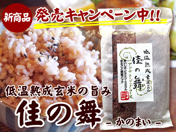 佳の舞について